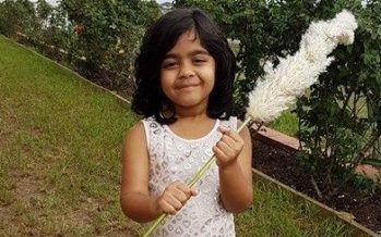 কাশফুলের খোঁজে