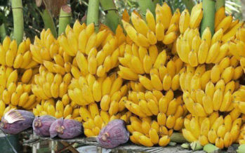 আগে দর্শণধারী পরে গুণবিচারি