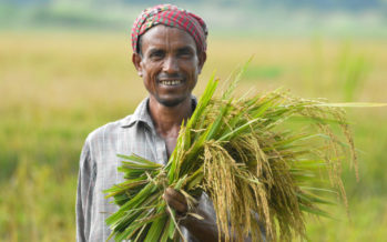 কৃষক না থাকলে সরকার থাকেনা