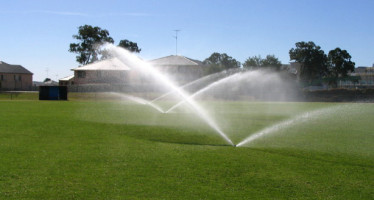 চেয়ে চলে যাই হেসে বলে যাই – দিলরুবা শাহানা
